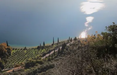 Fondo Brè