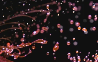 Green Star – High Tech Lubricants & Additives