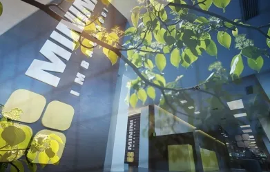 Minini - L'intelligenza nell'imballaggio